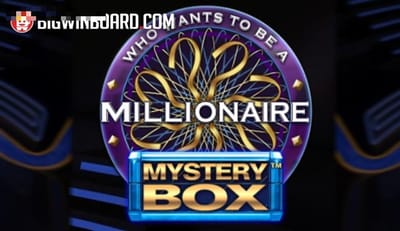 Millionaire Mystery Box